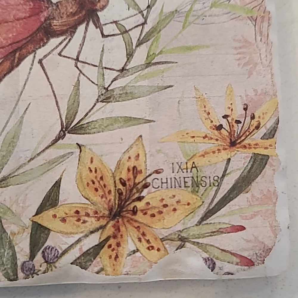 Dragonfly Wild Lily Coaster